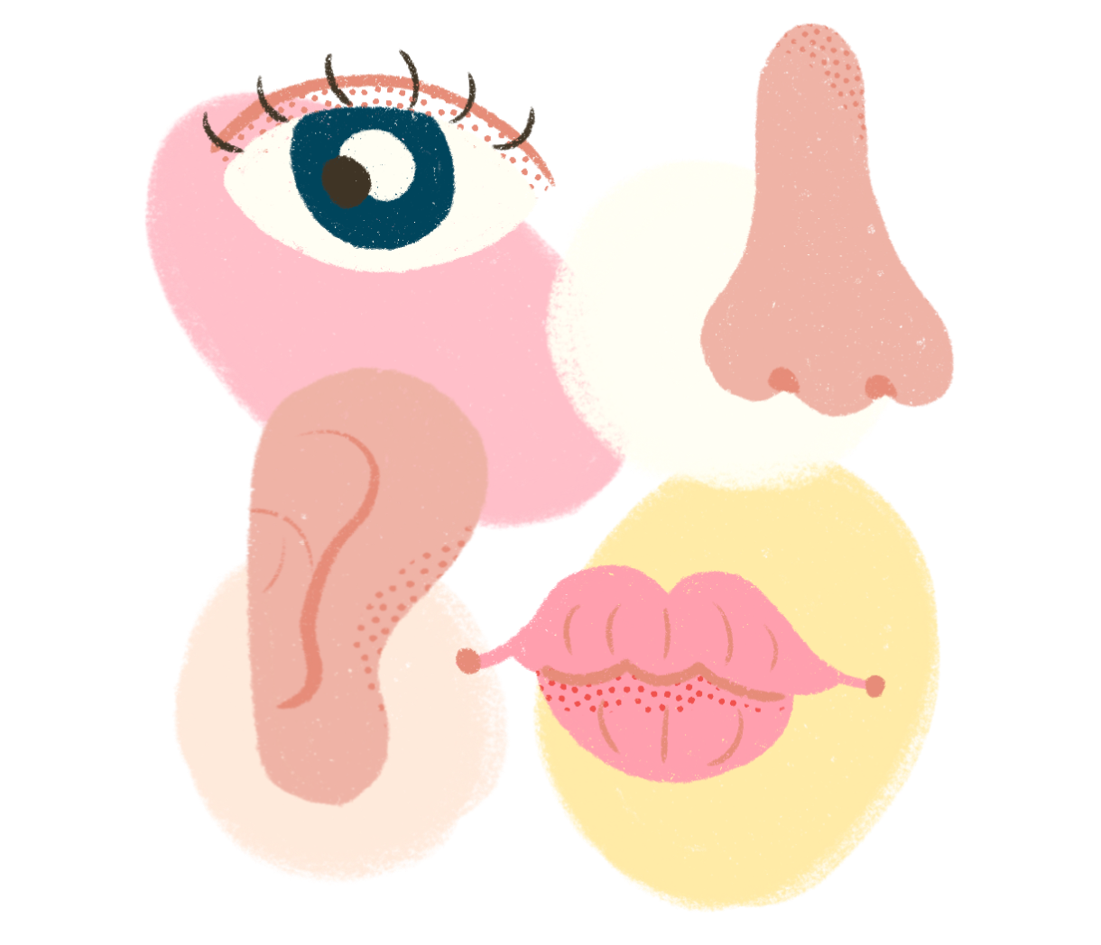 feature image accessibility